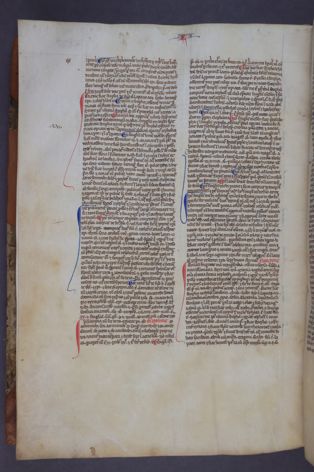 Folio 156 verso